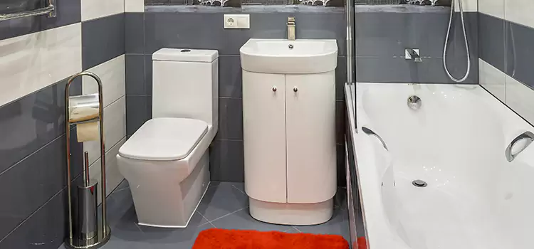 Hansgrohe Shaving Mirror St. Louis Park